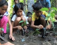 Kids planting mango trees in the Ring of Fire